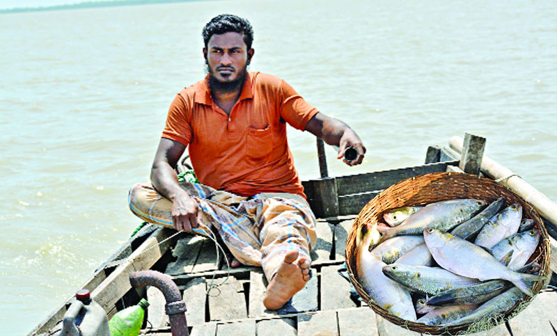 তাঁরা ধরেন ইলিশ, কিন্তু খান পাঙ্গাশ