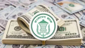 রেমিট্যান্স আয়ে দেশে নতুন রেকর্ড, ২৮ দিনে এলো ৩৩৩ কোটি ২০ লাখ ডলার