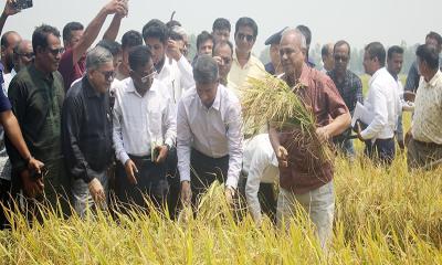 সীমান্ত সম্পূর্ণ নিরাপদ, ভয়ের কোন কারণ নেই: স্বরাষ্ট্র উপদেষ্টা