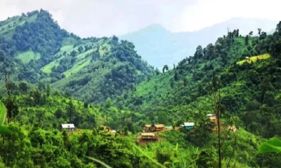 দেশের ঘুমধুম সীমান্তে এবার পুঁতে রাখা মাইন বিস্ফোরণে নিহত ৩