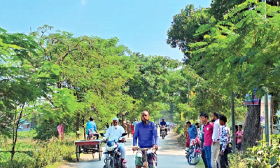 সড়কের দুই পাশেই যেনো অক্সিজেনের ভান্ডার