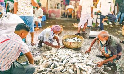 ভরা বর্ষায়ও বরিশালে ইলিশের দেখা নেই