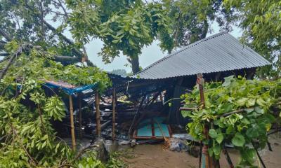 কালবৈশাখী ঝড়ে গাছ পড়ে জামালপুরে মা ও ২ মেয়ের মৃত্যু