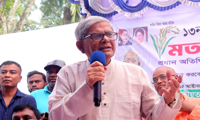 দেশ বাঁচাতে দ্রæত নির্বাচন দরকার : মির্জা ফখরুল