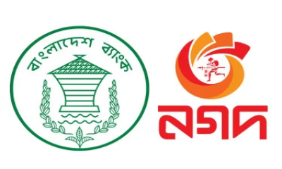 নগদে অর্থ ও তথ্য দুটোই চরম ঝুঁকিতে : বাংলাদেশ ব্যাংক