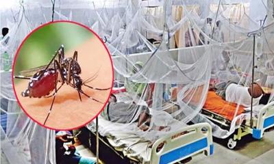 দেশে ডেঙ্গুতে একদিনেই ৫ জনের মৃত্যু, হাসপাতালেও ভর্তি ১৫৯