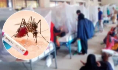 ডেঙ্গুতে ২৪ ঘন্টায় ৭ মৃত্যু, হাসপাতালে ভর্তি ১৭৫৩