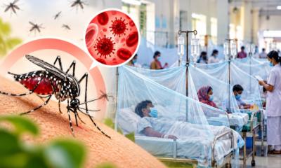দেশে ডেঙ্গুতে মৃত্যু বেড়ে ৩২১, নতুন আক্রান্ত ১৯২০