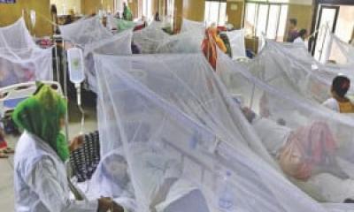 দেশে ডেঙ্গুতে ১দিনে ২ মৃত্যু, হাসপাতালে ৩৯২