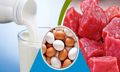 এবারও রমজানে ঢাকার ২৫ স্থানে সুলভ মূল্যে মিলবে দুধ, ডিম ও মাংস