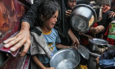 ইসরায়েলি হামলায় গাজায় আরও ৪৭ ফিলিস্তিনি নিহত