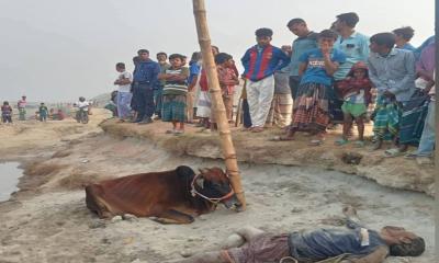 কিশোরগঞ্জে গরুচোর সন্দেহে গণপিটুনি, নিহত ১