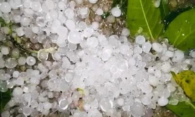 কিশোরগঞ্জের হাওরাঞ্চলে শিলাবৃষ্টি, বোরো ফসল ক্ষতির আশঙ্কা