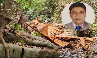‎‎ঘুষ ও মাসোহারায় বন উজাড়ের কারিগর ডিএফও মোস্তাফিজ