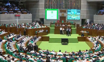 বাতিল হচ্ছে গণভোট অধ্যাদেশ, উঠবে না সংসদে