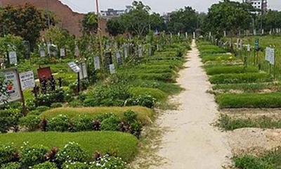 জুলাই গণঅভ্যুত্থানে ১১৪ মরদেহের মধ্যে ৮ জনের পরিচয় শনাক্ত