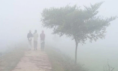 দেশের  ১২ জেলায় চলছে শৈত্যপ্রবাহ