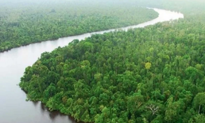 সুন্দরবনের ১০ কিলোমিটার এলাকায় শিল্পপ্রতিষ্ঠান নির্মাণে নিষেধাজ্ঞা জারি