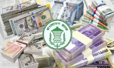 ২৪৮ কোটি ডলার রেমিট্যান্স এলো জানুয়ারীর ২৪ দিনে