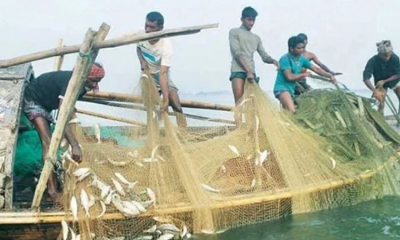 ২২ দিন ইলিশসহ সব ধরনের মাছ ধরা নিষিদ্ধ