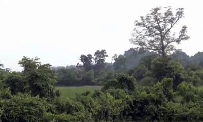 মিয়ানমারের জান্তার পেতে রাখা মাইনে ৮ বছরে অর্ধশত বাংলাদেশি পঙ্গু