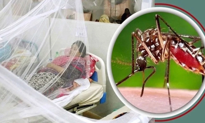 ডেঙ্গুতে ২৪ ঘন্টায় াারও ৪ জনের মৃত্যু, হাসপাতালে ভর্তি ১২৩৩