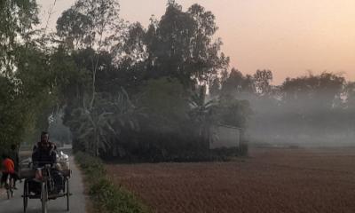 তেঁতুলিয়ায় টানা পাঁচ দিন শীতে কাঁপছে