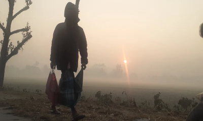 দেশের ১০ জেলায় বইছে শৈত্যপ্রবাহ,হিমেল বাতাস