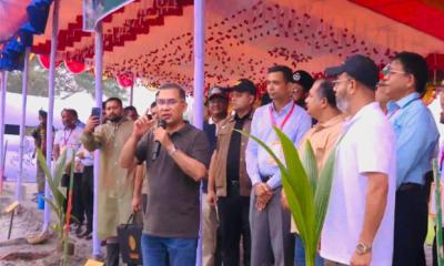 গাছ লাগালেই দায়িত্ব শেষ নয়, শিশুর মতো যত্ন নিতে হবে : প্রধানমন্ত্রী