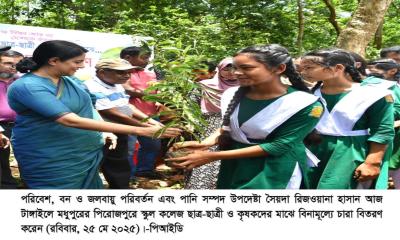 শাল গাছ লাগানো, সীমানা চিহ্নিতকরণ কাজের উদ্বোধন করলেন পরিবেশ উপদেষ্টা