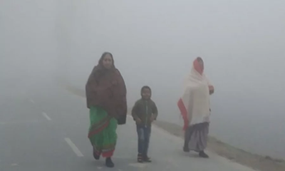 দেশের  ১২ জেলায় চলছে শৈত্যপ্রবাহ