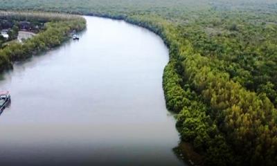 রেড অ্যালার্ট জারি সুন্দরবনে