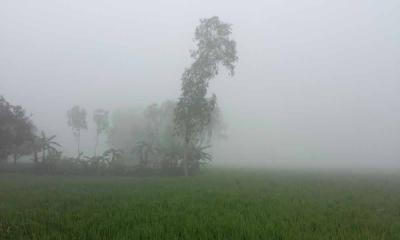 দেশের ২০ জেলায় ১৪ ডিগ্রির নিচে তাপমাত্রা, সর্বনিম্ন পঞ্চগড়ে