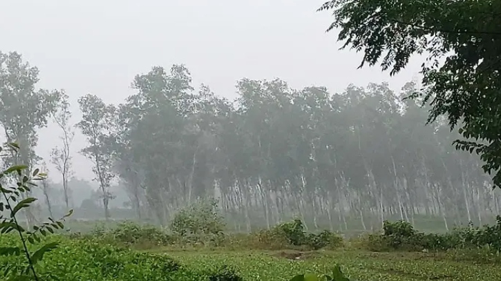 শীত জেঁকে বসেছে পঞ্চগড়ে