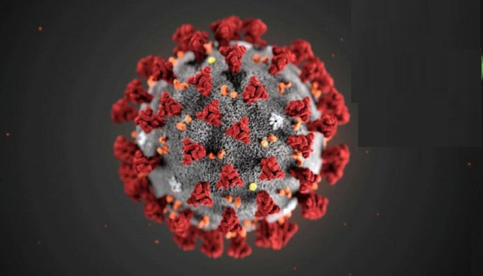 চলে গেলেন মুক্তিযুদ্ধ মন্ত্রীর স্ত্রী লায়লা আরজুমান্দ