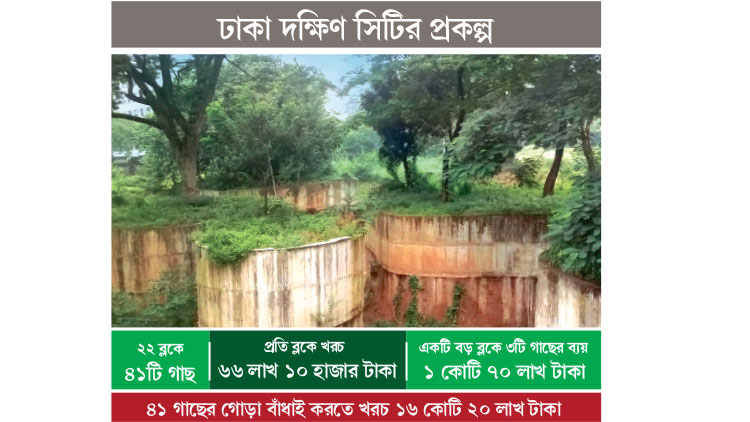 গাছপ্রতি ৪৪ লাখ টাকা ব্যয়ের বিরল বৃক্ষপ্রেম!